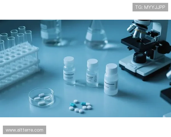 探索k8凯发的业务类型及其提供的多样化游戏和投注选择